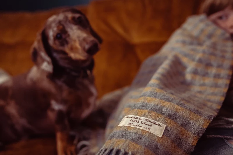 yorkshire blankets product photography